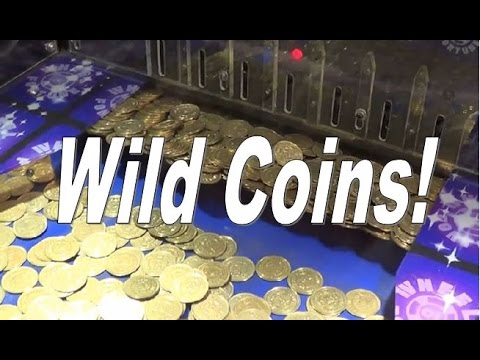 wild coins for games